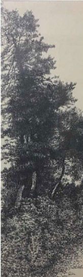 1594280488843346.jpg 30.jpg